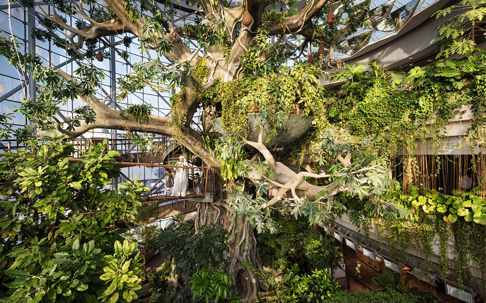 Explore The Green Planet – Dubai’s Indoor Tropical Rainforest